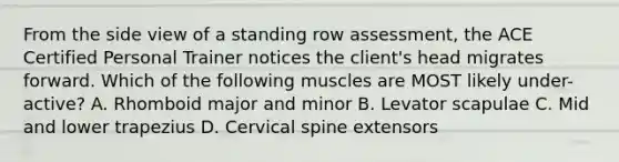 From the side view of a standing row assessment, the ACE Certified Personal Trainer notices the client's head migrates forward. Which of the following muscles are MOST likely under-active? A. Rhomboid major and minor B. Levator scapulae C. Mid and lower trapezius D. Cervical spine extensors