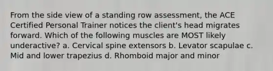 From the side view of a standing row assessment, the ACE Certified Personal Trainer notices the client's head migrates forward. Which of the following muscles are MOST likely underactive? a. Cervical spine extensors b. Levator scapulae c. Mid and lower trapezius d. Rhomboid major and minor