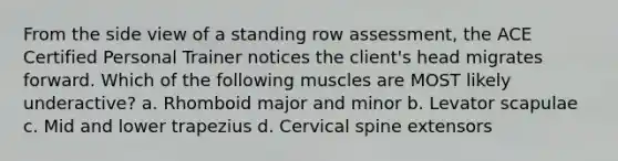 From the side view of a standing row assessment, the ACE Certified Personal Trainer notices the client's head migrates forward. Which of the following muscles are MOST likely underactive? a. Rhomboid major and minor b. Levator scapulae c. Mid and lower trapezius d. Cervical spine extensors