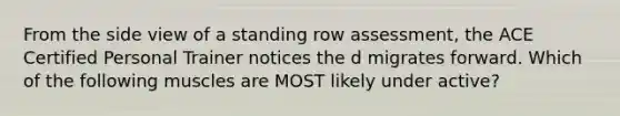 From the side view of a standing row assessment, the ACE Certified Personal Trainer notices the d migrates forward. Which of the following muscles are MOST likely under active?