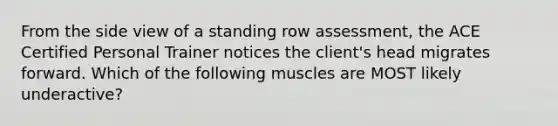 From the side view of a standing row assessment, the ACE Certified Personal Trainer notices the client's head migrates forward. Which of the following muscles are MOST likely underactive?