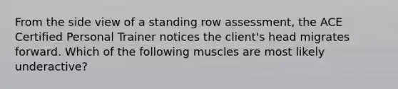 From the side view of a standing row assessment, the ACE Certified Personal Trainer notices the client's head migrates forward. Which of the following muscles are most likely underactive?