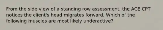 From the side view of a standing row assessment, the ACE CPT notices the client's head migrates forward. Which of the following muscles are most likely underactive?