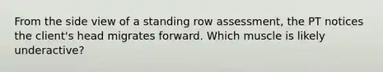 From the side view of a standing row assessment, the PT notices the client's head migrates forward. Which muscle is likely underactive?