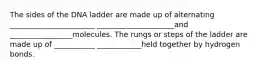 The sides of the DNA ladder are made up of alternating _______________________ _____________________and _________________molecules. The rungs or steps of the ladder are made up of ___________ ____________held together by hydrogen bonds.