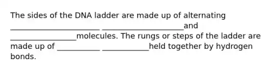 The sides of the DNA ladder are made up of alternating _______________________ _____________________and _________________molecules. The rungs or steps of the ladder are made up of ___________ ____________held together by hydrogen bonds.