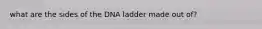 what are the sides of the DNA ladder made out of?