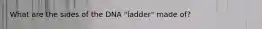 What are the sides of the DNA "ladder" made of?