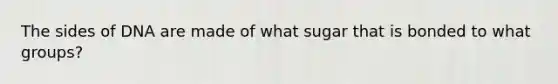 The sides of DNA are made of what sugar that is bonded to what groups?