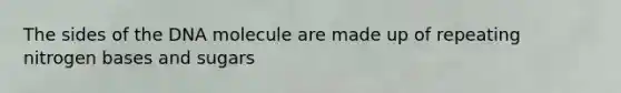 The sides of the DNA molecule are made up of repeating nitrogen bases and sugars