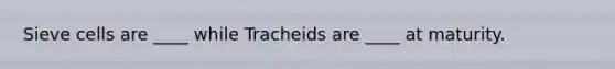 Sieve cells are ____ while Tracheids are ____ at maturity.