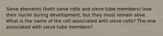 Sieve elements (both sieve cells and sieve tube members) lose their nuclei during development, but they must remain alive. What is the name of the cell associated with sieve cells? The one associated with sieve tube members?