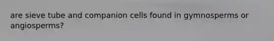 are sieve tube and companion cells found in gymnosperms or angiosperms?