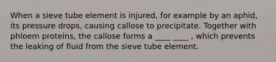 When a sieve tube element is injured, for example by an aphid, its pressure drops, causing callose to precipitate. Together with phloem proteins, the callose forms a ____ ____ , which prevents the leaking of fluid from the sieve tube element.