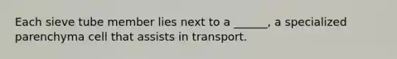 Each sieve tube member lies next to a ______, a specialized parenchyma cell that assists in transport.