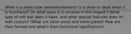 What is a sieve tube member/element? Is it alive or dead when it is functional? (In what ways is it unusual in this regard?) What type of cell wall does it have, and what special features does its wall contain? (What are sieve areas and sieve plates? How are they formed and what's their functional significance?)