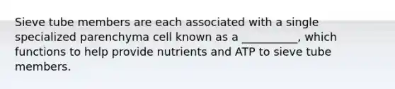 Sieve tube members are each associated with a single specialized parenchyma cell known as a __________, which functions to help provide nutrients and ATP to sieve tube members.