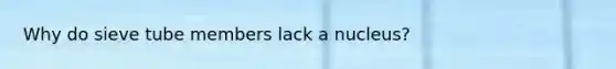 Why do sieve tube members lack a nucleus?