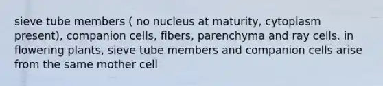 sieve tube members ( no nucleus at maturity, cytoplasm present), companion cells, fibers, parenchyma and ray cells. in flowering plants, sieve tube members and companion cells arise from the same mother cell