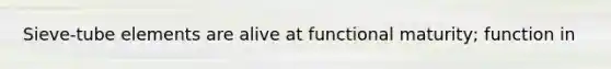 Sieve-tube elements are alive at functional maturity; function in