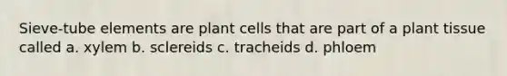 Sieve-tube elements are plant cells that are part of a plant tissue called a. xylem b. sclereids c. tracheids d. phloem