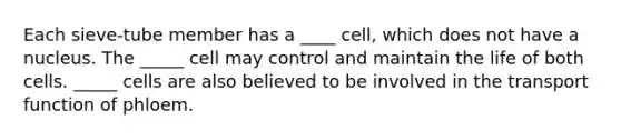 Each sieve-tube member has a ____ cell, which does not have a nucleus. The _____ cell may control and maintain the life of both cells. _____ cells are also believed to be involved in the transport function of phloem.