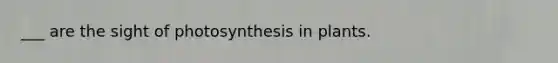 ___ are the sight of photosynthesis in plants.