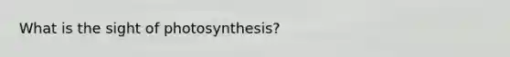 What is the sight of photosynthesis?