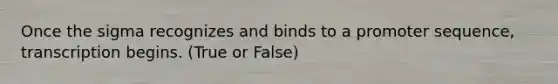 Once the sigma recognizes and binds to a promoter sequence, transcription begins. (True or False)