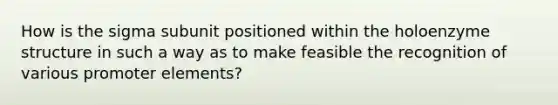 How is the sigma subunit positioned within the holoenzyme structure in such a way as to make feasible the recognition of various promoter elements?