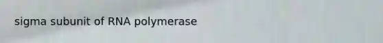 sigma subunit of RNA polymerase