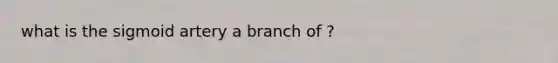 what is the sigmoid artery a branch of ?