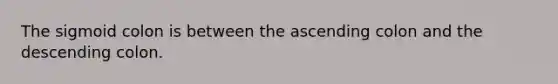 The sigmoid colon is between the ascending colon and the descending colon.