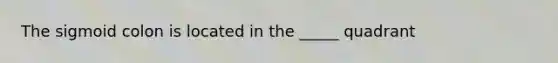 The sigmoid colon is located in the _____ quadrant