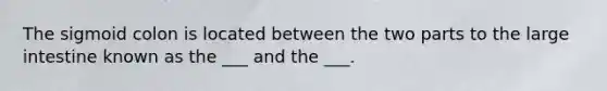 The sigmoid colon is located between the two parts to the <a href='https://www.questionai.com/knowledge/kGQjby07OK-large-intestine' class='anchor-knowledge'>large intestine</a> known as the ___ and the ___.