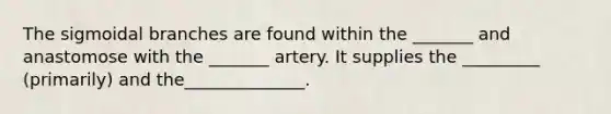 The sigmoidal branches are found within the _______ and anastomose with the _______ artery. It supplies the _________ (primarily) and the______________.