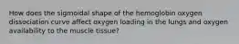 How does the sigmoidal shape of the hemoglobin oxygen dissociation curve affect oxygen loading in the lungs and oxygen availability to the muscle tissue?