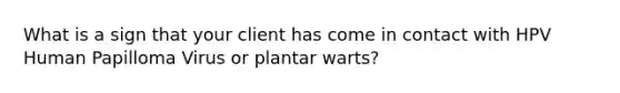 What is a sign that your client has come in contact with HPV Human Papilloma Virus or plantar warts?