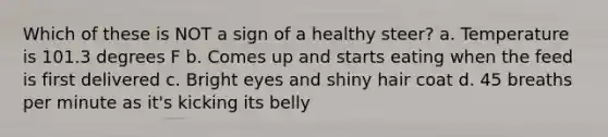 Which of these is NOT a sign of a healthy steer? a. Temperature is 101.3 degrees F b. Comes up and starts eating when the feed is first delivered c. Bright eyes and shiny hair coat d. 45 breaths per minute as it's kicking its belly