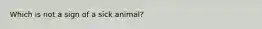 Which is not a sign of a sick animal?