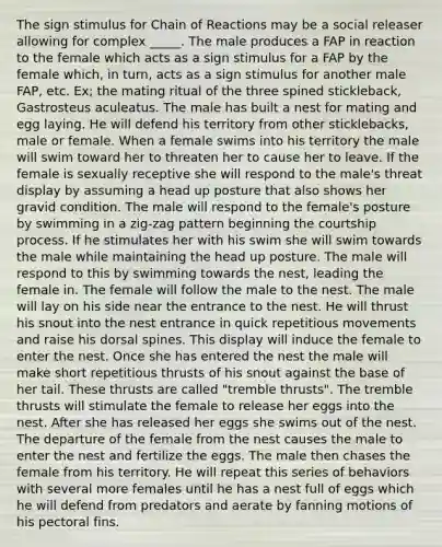 The sign stimulus for Chain of Reactions may be a social releaser allowing for complex _____. The male produces a FAP in reaction to the female which acts as a sign stimulus for a FAP by the female which, in turn, acts as a sign stimulus for another male FAP, etc. Ex; the mating ritual of the three spined stickleback, Gastrosteus aculeatus. The male has built a nest for mating and egg laying. He will defend his territory from other sticklebacks, male or female. When a female swims into his territory the male will swim toward her to threaten her to cause her to leave. If the female is sexually receptive she will respond to the male's threat display by assuming a head up posture that also shows her gravid condition. The male will respond to the female's posture by swimming in a zig-zag pattern beginning the courtship process. If he stimulates her with his swim she will swim towards the male while maintaining the head up posture. The male will respond to this by swimming towards the nest, leading the female in. The female will follow the male to the nest. The male will lay on his side near the entrance to the nest. He will thrust his snout into the nest entrance in quick repetitious movements and raise his dorsal spines. This display will induce the female to enter the nest. Once she has entered the nest the male will make short repetitious thrusts of his snout against the base of her tail. These thrusts are called "tremble thrusts". The tremble thrusts will stimulate the female to release her eggs into the nest. After she has released her eggs she swims out of the nest. The departure of the female from the nest causes the male to enter the nest and fertilize the eggs. The male then chases the female from his territory. He will repeat this series of behaviors with several more females until he has a nest full of eggs which he will defend from predators and aerate by fanning motions of his pectoral fins.