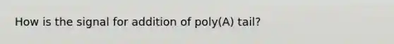 How is the signal for addition of poly(A) tail?