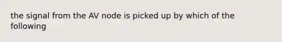 the signal from the AV node is picked up by which of the following