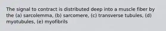 The signal to contract is distributed deep into a muscle fiber by the (a) sarcolemma, (b) sarcomere, (c) transverse tubules, (d) myotubules, (e) myofibrils