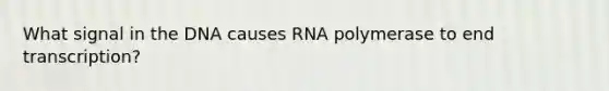 What signal in the DNA causes RNA polymerase to end transcription?