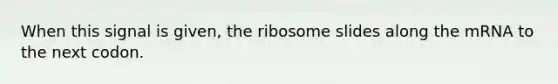 When this signal is given, the ribosome slides along the mRNA to the next codon.