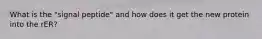 What is the "signal peptide" and how does it get the new protein into the rER?