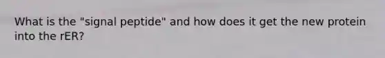 What is the "signal peptide" and how does it get the new protein into the rER?