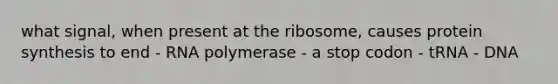 what signal, when present at the ribosome, causes protein synthesis to end - RNA polymerase - a stop codon - tRNA - DNA