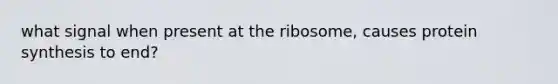 what signal when present at the ribosome, causes protein synthesis to end?